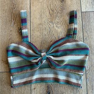 Striped Multicolor Crop Top